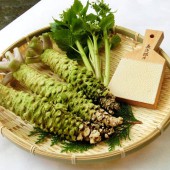 Nghiên cứu chứng minh wasabi có tác dụng cải thiện trí nhớ người già